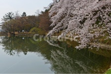 경남, 진해, 창원, 내수면환경생태공원, 공원, 사진,이미지,일러스트,캘리그라피 - 영산공작가 크라우드픽 - 저작권 걱정 없는 상업용 이미지
