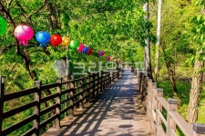 자연, nature, 옥외, outdoors, 산책, 사진,이미지,일러스트,캘리그라피 - studio H작가 크라우드픽 - 저작권 걱정 없는 상업용 이미지