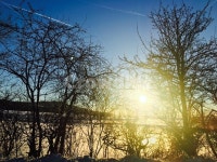 햇빛, 빛, 풍경, 노을, 저녁, 사진,이미지,일러스트,캘리그라피 - 살구작가 크라우드픽 - 저작권 걱정 없는 상업용 이미지