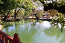 연못, 호수, 강, 풍경, 호수풍경, 사진,이미지,일러스트,캘리그라피 - herjoon1610작가 크라우드픽 - 저작권 걱정 없는 상업용 이미지