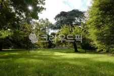 park, 공원, outdoors, 옥외, nature, 사진,이미지,일러스트,캘리그라피 - ordinary작가 크라우드픽 - 저작권 걱정 없는 상업용 이미지