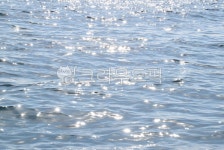 윤슬, 바다, 바다윤슬, 빛나는윤슬, 밫나는바다, 사진,이미지,일러스트,캘리그라피 - Black작가 크라우드픽 - 저작권 걱정 없는 상업용 이미지