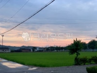 nature, 자연, farm, 농장, sunset, 사진,이미지,일러스트,캘리그라피 - 영해박씨작가 크라우드픽 - 저작권 걱정 없는 상업용 이미지