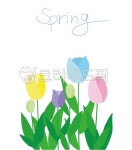 튤립, 봄, spring, flowers, 꽃, 사진,이미지,일러스트,캘리그라피 - klpark9171작가 크라우드픽 - 저작권 걱정 없는 상업용 이미지