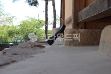 전통가옥, 댓돌, 검정, 고무신, 야외, 사진,이미지,일러스트,캘리그라피 - two K작가 크라우드픽 - 저작권 걱정 없는 상업용 이미지