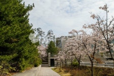 고대, 고려대, 고려대학교, 서울, 안암동, 사진,이미지,일러스트,캘리그라피 - imlover작가 크라우드픽 - 저작권 걱정 없는 상업용 이미지