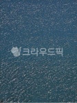 윤슬, 강, 낙동강, 물결, 아침, 사진,이미지,일러스트,캘리그라피 - Nbantomac작가 크라우드픽 - 저작권 걱정 없는 상업용 이미지