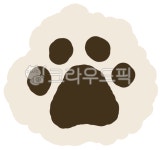 강아지, 개발바닥, 발바닥, 애완견발바닥, 비숑발바닥, 사진,이미지,일러스트,캘리그라피 - pghojd작가 크라우드픽 - 저작권 걱정 없는 상업용... 