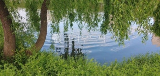 강, river, tree, outdoors, 옥외, 사진,이미지,일러스트,캘리그라피 - 서하리아작가 크라우드픽 - 저작권 걱정 없는 상업용 이미지