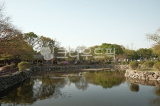경주, 경주대릉원, 대릉원, 가을, 왕릉, 사진,이미지,일러스트,캘리그라피 - 마다가스카르작가 크라우드픽 - 저작권 걱정 없는 상업용 이미지
