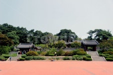 오죽헌, 풍경, 여행, 일상, 문화재, 사진,이미지,일러스트,캘리그라피 - HWAN8310작가 크라우드픽 - 저작권 걱정 없는 상업용 이미지