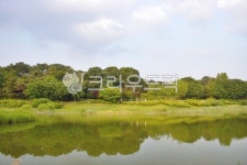 서울, 송파구, 방이동, 도시, 공원, 사진,이미지,일러스트,캘리그라피 - imlover작가 크라우드픽 - 저작권 걱정 없는 상업용 이미지