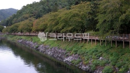 강, 공원, 호수, 자연, 옥외, 사진,이미지,일러스트,캘리그라피 - 韓남자작가 크라우드픽 - 저작권 걱정 없는 상업용 이미지