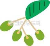 한반도당구장 | 올리브, 그린올리브, 올리브식물, 올리브요리, 올리브이미지, 사진,이미지,일러스트,캘리그라피 - yevely작가 크라우드픽 - 저작권 걱정 없는...