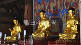 충남, 예산수덕사목조석가여래삼불좌상, 아미타불, 석가모니불, 약사불, 사진,이미지,일러스트,캘리그라피 - 행복신작가 크라우드픽 - 저작권 걱정... 