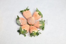 berry, pinkberry, 과일, fruit, strawberry, 사진,이미지,일러스트,캘리그라피 - 프테루가작가 크라우드픽 - 저작권 걱정 없는 상업용... 