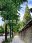 path, 서촌, 돌담길, 가로수, 기와, 사진,이미지,일러스트,캘리그라피 - yennyenny작가 크라우드픽 - 저작권 걱정 없는 상업용 이미지