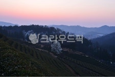 rural, 농촌, farm, 농장, nature, 사진,이미지,일러스트,캘리그라피 - 영산공작가 크라우드픽 - 저작권 걱정 없는 상업용 이미지