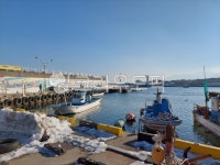 바다, 항구, 강원도, 어선, 낚시, 사진,이미지,일러스트,캘리그라피 - nunr86작가 크라우드픽 - 저작권 걱정 없는 상업용 이미지