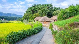 시골, 농로, 집, 주택, 초가, 사진,이미지,일러스트,캘리그라피 - 서은작가 크라우드픽 - 저작권 걱정 없는 상업용 이미지