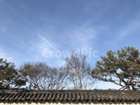 지붕, 나무, 하늘, sky, 구름, 사진,이미지,일러스트,캘리그라피 - 한오리작가 크라우드픽 - 저작권 걱정 없는 상업용 이미지