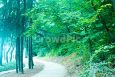 공원, 녹색, 숲, 힐링, 산책길, 사진,이미지,일러스트,캘리그라피 - 브랜드H작가 크라우드픽 - 저작권 걱정 없는 상업용 이미지