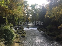 독일, 독일공원, 독일잉글랜드파크, 잉글랜드파크, 강가, 사진,이미지,일러스트,캘리그라피 - nomast작가 크라우드픽 - 저작권 걱정 없는 상업용... 