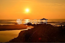 outdoors, 옥외, nature, 자연, light, 사진,이미지,일러스트,캘리그라피 - 영산공작가 크라우드픽 - 저작권 걱정 없는 상업용 이미지