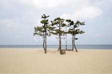 바다, 낙산, 해수욕장, 모래사장, 자연, 사진,이미지,일러스트,캘리그라피 - hys작가 크라우드픽 - 저작권 걱정 없는 상업용 이미지