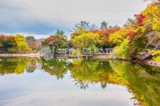 단풍, 반영, 단풍나무, 저수지, 가을, 사진,이미지,일러스트,캘리그라피 - 라파엘작가 크라우드픽 - 저작권 걱정 없는 상업용 이미지