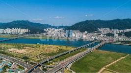 대저생태공원, 부산, 강서구, 낙동강, 구포대교, 사진,이미지,일러스트,캘리그라피 - 크리에이티브열정작가 크라우드픽 - 저작권 걱정 없는 상업용... 