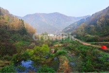 전남, 화순, 세량지, 세량제, 물안개, 사진,이미지,일러스트,캘리그라피 - 영산공작가 크라우드픽 - 저작권 걱정 없는 상업용 이미지
