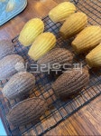 마들렌, 디저트, 카페, 구움과자, dessert, 사진,이미지,일러스트,캘리그라피 - da_hye0330작가 크라우드픽 - 저작권 걱정 없는 상업용 이미지
