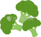 브로콜리, 브로콜리그림, 브로콜리일러스트, 야채브로콜리, 채소브로콜리, 사진,이미지,일러스트,캘리그라피 - 아몬드봉봉작가 크라우드픽... 