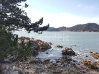 섬마을, 바다, 바위섬, 돌멩이, 나무, 사진,이미지,일러스트,캘리그라피 - BBBAE작가 크라우드픽 - 저작권 걱정 없는 상업용 이미지