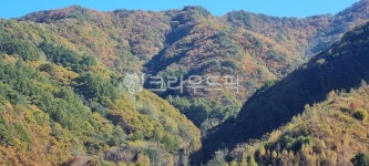 산, mountain, 자연, tree, 협곡, 사진,이미지,일러스트,캘리그라피 - 세 아이의 맘작가 크라우드픽 - 저작권 걱정 없는 상업용 이미지