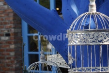 새장, 파란색, 자연, 나무, 감성, 사진,이미지,일러스트,캘리그라피 - 수지몽작가 크라우드픽 - 저작권 걱정 없는 상업용 이미지