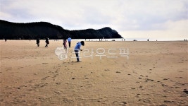 해수욕장, 다대포해수욕장, 모래사장, 해변, 모래밭, 사진,이미지,일러스트,캘리그라피 - chego21작가 크라우드픽 - 저작권 걱정 없는 상업용... 