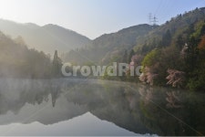 전남, 화순, 세량지, 세량제, 물안개, 사진,이미지,일러스트,캘리그라피 - 영산공작가 크라우드픽 - 저작권 걱정 없는 상업용 이미지