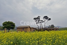 초가지은한옥지은향원재 | 초가집, grassroofedhouse, 초가지붕, 전통한옥, 시골집, 사진,이미지,일러스트,캘리그라피 - 일출작가 크라우드픽 - 저작권 걱정 없는...