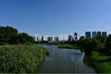 풍경, 강, river, 올림픽공원, 몽촌토성, 사진,이미지,일러스트,캘리그라피 - Moderato작가 크라우드픽 - 저작권 걱정 없는 상업용 이미지