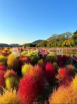 경남, 양산, 황산공원, 힐링, 산책, 사진,이미지,일러스트,캘리그라피 - zhtxjfgur작가 크라우드픽 - 저작권 걱정 없는 상업용 이미지