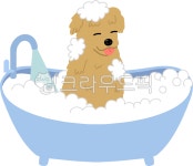 대형견목욕, 반려견목욕, 강아지목욕, 애견호텔, 반려견호텔, 사진,이미지,일러스트,캘리그라피 - byeotnyu작가 크라우드픽 - 저작권 걱정 없는... 
