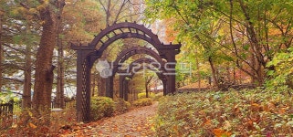 옥외, 자연, 정원, 아파트, 길, 사진,이미지,일러스트,캘리그라피 - 찌언냐작가 크라우드픽 - 저작권 걱정 없는 상업용 이미지