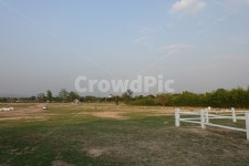 양떼, 양떼목장, 양치기, shepherding, shepherd, 사진,이미지,일러스트,캘리그라피 - dardargram작가 크라우드픽 - 저작권 걱정 없는... 