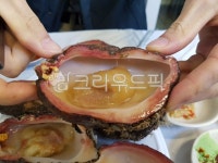 멍게, 돌멍게, 자연산멍게, 바다생물, 멍게회, 사진,이미지,일러스트,캘리그라피 - skks작가 크라우드픽 - 저작권 걱정 없는 상업용 이미지