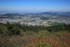 남원운봉, 바래봉, 지리산국립공원, 바래봉가는길, 철쭉, 사진,이미지,일러스트,캘리그라피 - 에레스뚜작가 크라우드픽 - 저작권 걱정 없는 상업용... 