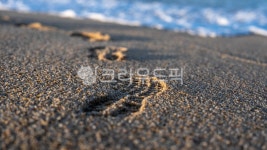 경포해변, 바다, 파도, 강릉, 해변, 사진,이미지,일러스트,캘리그라피 - 디스이즈드래곤작가 크라우드픽 - 저작권 걱정 없는 상업용 이미지