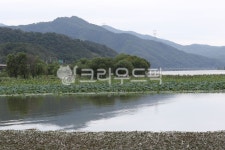 자연, nature, 연못, water, 물, 사진,이미지,일러스트,캘리그라피 - 삼거리보안관작가 크라우드픽 - 저작권 걱정 없는 상업용 이미지