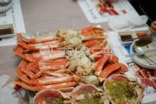 대게, 게, 해물, 해산물, 먹거리, 사진,이미지,일러스트,캘리그라피 - pb이로작가 크라우드픽 - 저작권 걱정 없는 상업용 이미지